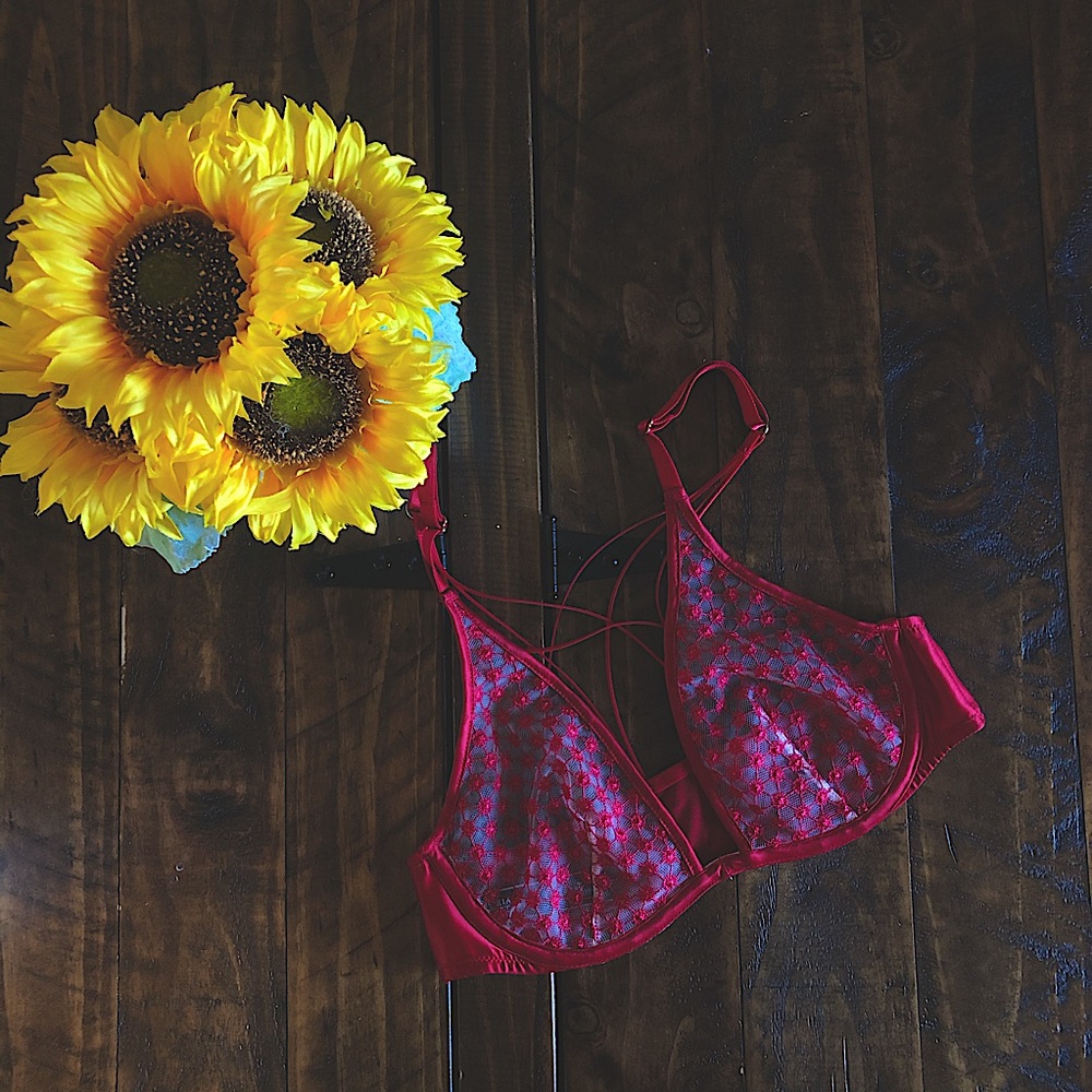 Victoria’s Secret Starburst Plunge Bra
